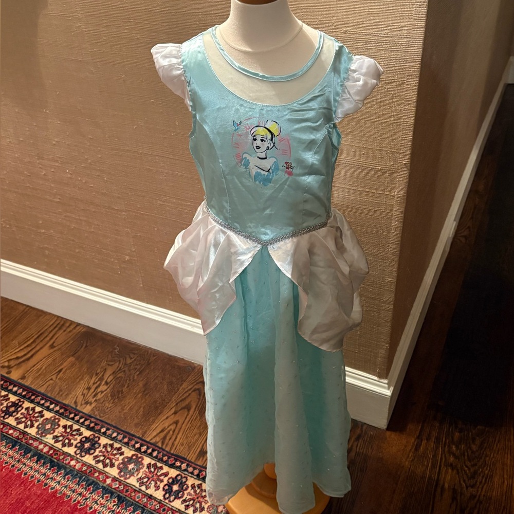 Disney Cinderella Nightgown Halloween Costume